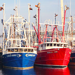 Marine engine controls & instruments